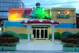 Mister Frog Casa de Festa Infantil
